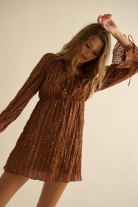 Angelic Beauty Embroidered Chiffon Mini Dress - ShopPromesa