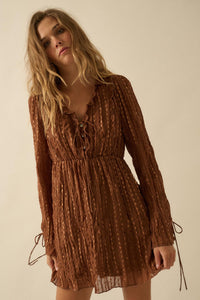 Angelic Beauty Embroidered Chiffon Mini Dress - ShopPromesa