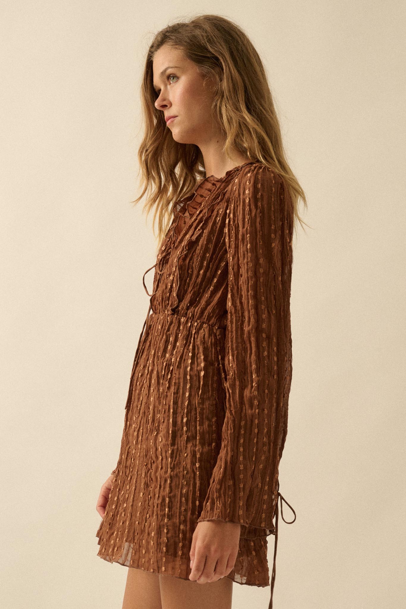 Angelic Beauty Embroidered Chiffon Mini Dress - ShopPromesa