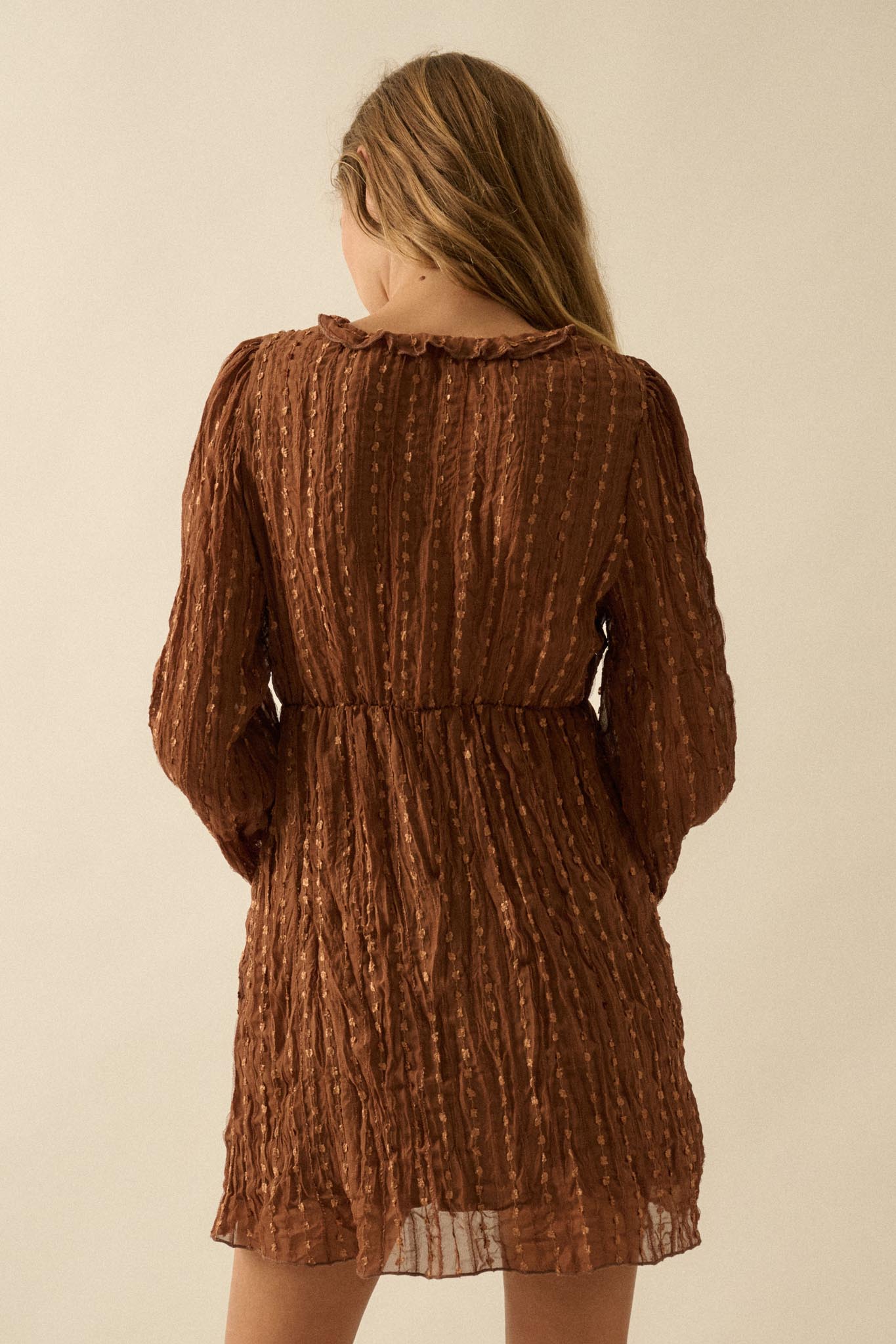 Angelic Beauty Embroidered Chiffon Mini Dress - ShopPromesa