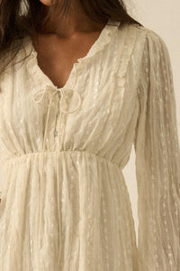 Angelic Beauty Embroidered Chiffon Mini Dress - ShopPromesa