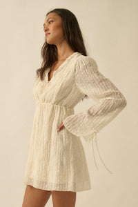 Angelic Beauty Embroidered Chiffon Mini Dress - ShopPromesa