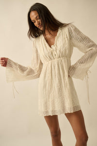 Angelic Beauty Embroidered Chiffon Mini Dress - ShopPromesa