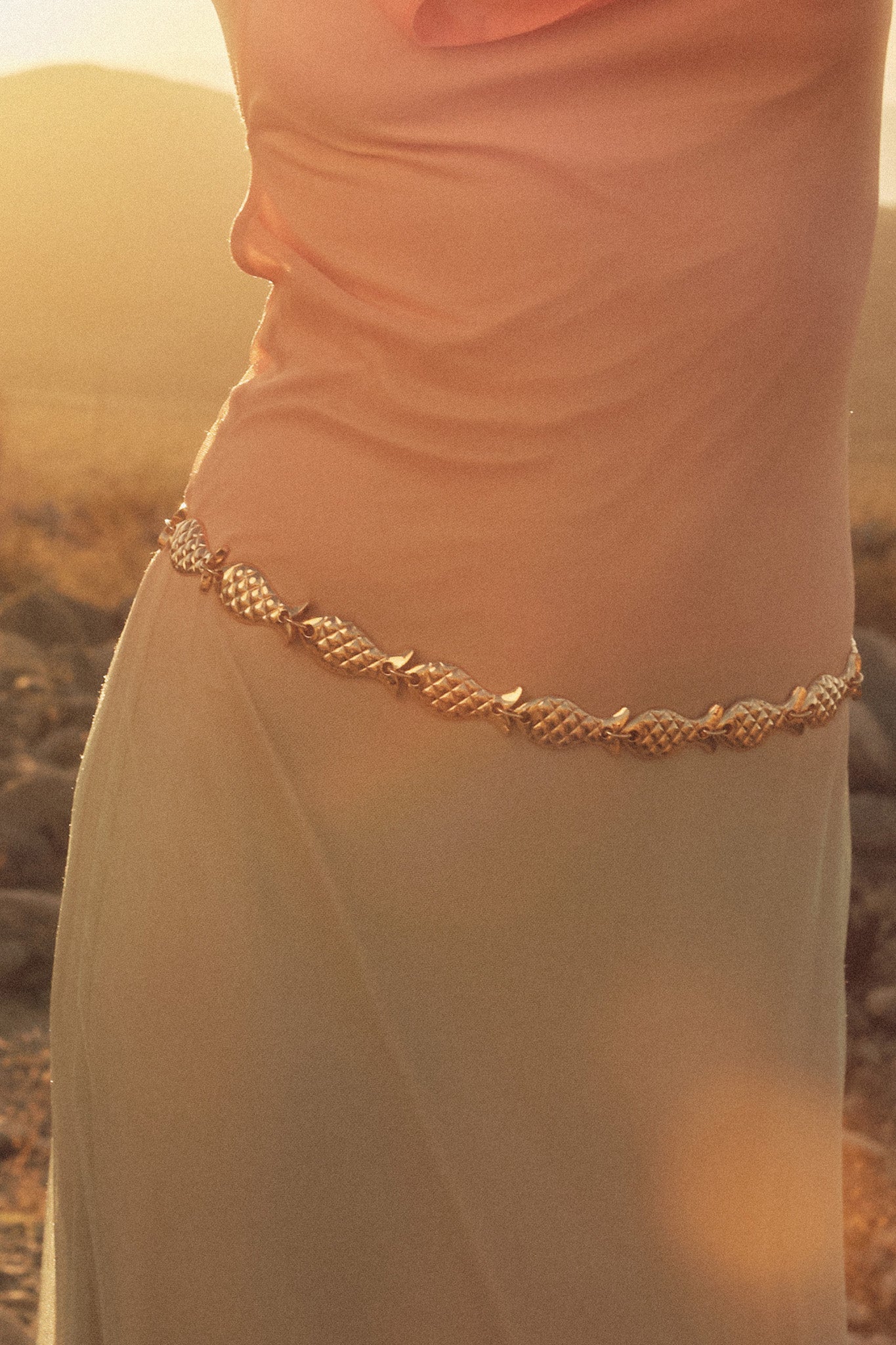 Morro Bay Gold Fish Link Chain Belt - ShopPromesa