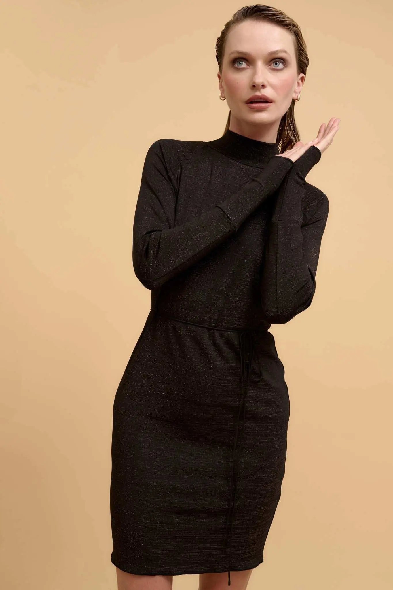 Sparkling Beauty Shimmer Knit Mock-Neck Mini Dress Black / S Sparkling Beauty Shimmer Knit Mock-Neck Mini Dress Black / S