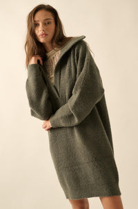 Warm It Up Collared Split-Neck Mini Sweater Dress - ShopPromesa