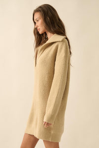 Warm It Up Collared Split-Neck Mini Sweater Dress - ShopPromesa