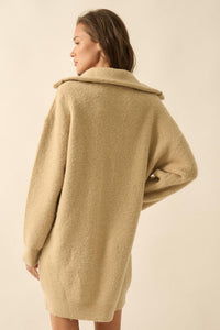 Warm It Up Collared Split-Neck Mini Sweater Dress - ShopPromesa