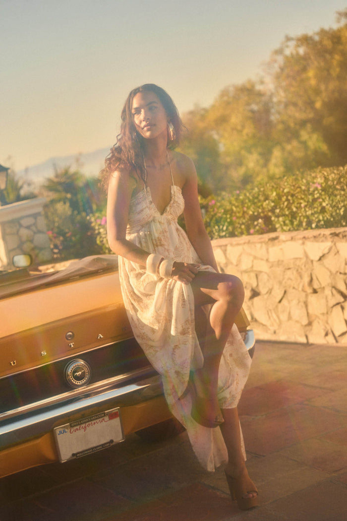 Scenic Beauty Toile Tie-Back Halter Maxi Dress - ShopPromesa