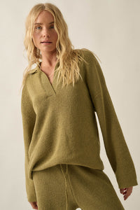 Looking Good Textured Knit Collared V-Neck Sweater - ShopPromesa