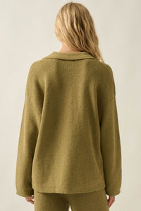 Looking Good Textured Knit Collared V-Neck Sweater - ShopPromesa