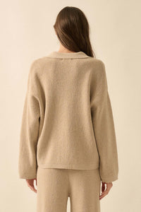 Looking Good Textured Knit Collared V-Neck Sweater - ShopPromesa