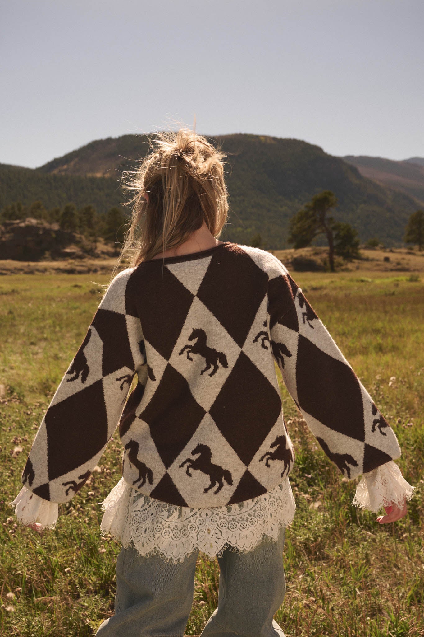 Show Pony Horse-Motif Diamond Check Sweater - ShopPromesa