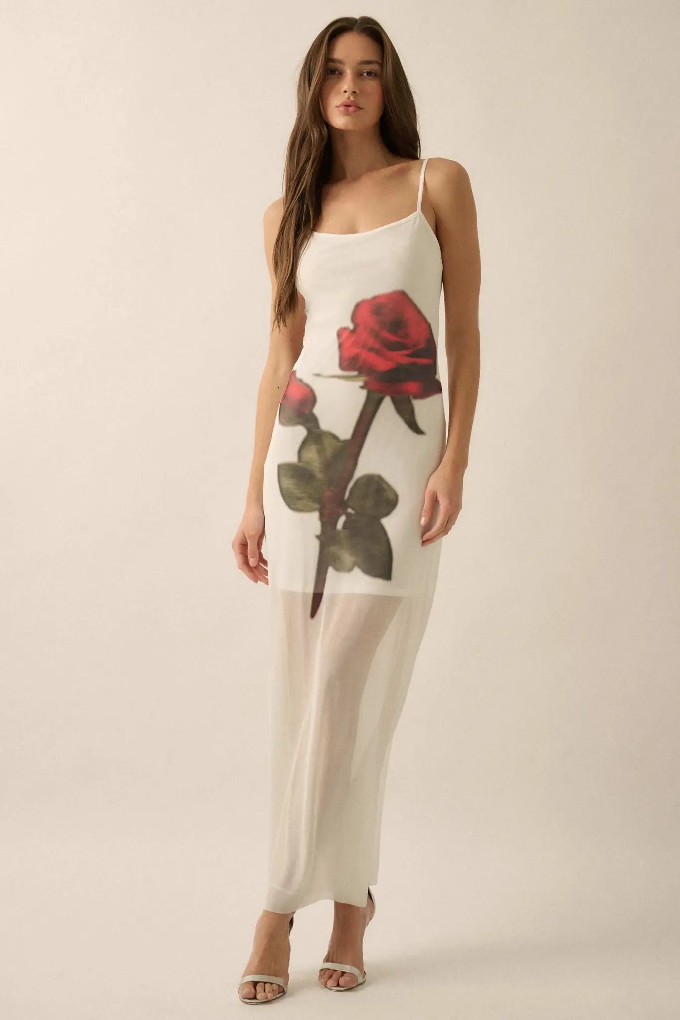 Kiss From a Rose Printed Mesh Layered Maxi Dress - ShopPromesa