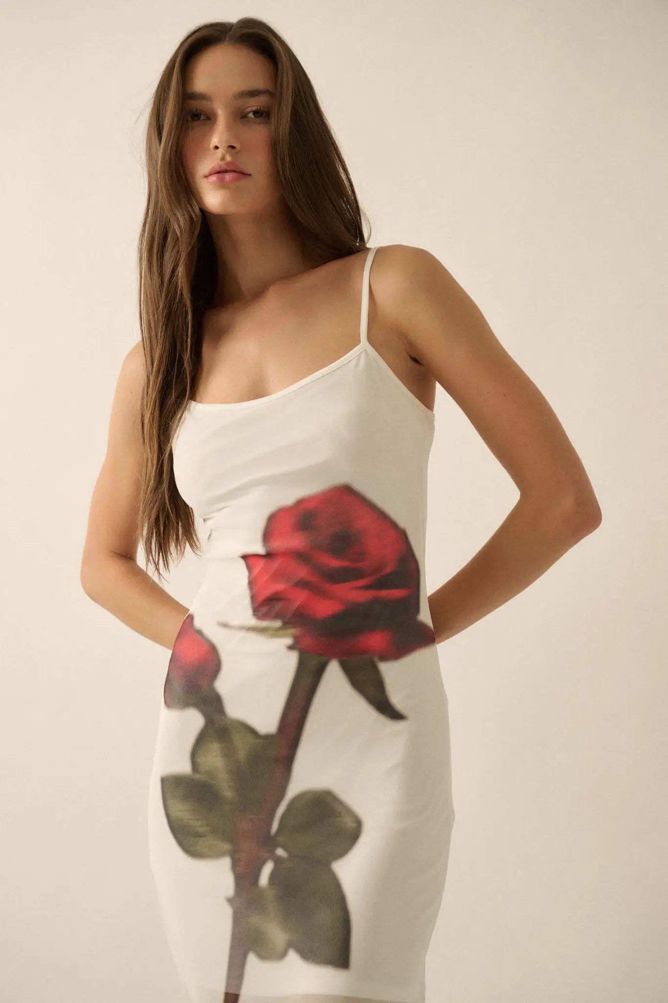 Kiss From a Rose Printed Mesh Layered Maxi Dress - ShopPromesa