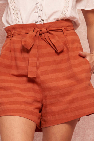Raise the Bar Striped Pleat-Front Belted Shorts - ShopPromesa
